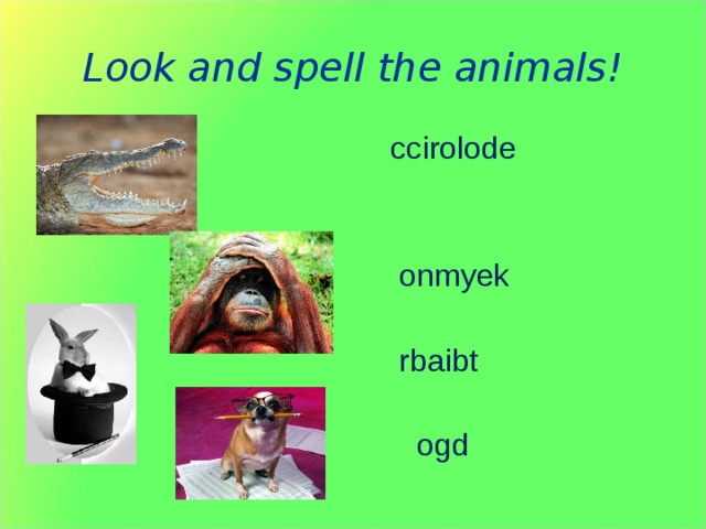 Look and spell the animals!  ccirolode  onmyek  rbaibt  ogd В данном задании учащимся предлагается восстановить порядок слов в слове, прочитать что получилось и назвать слово по буквам. Можно усложнить задание перепутав картинки, учащиеся должны будут не только угадать и назвать слово, но и соотнести его с картинкой.  