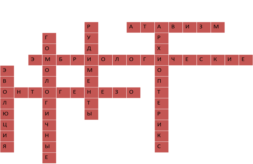 Кроссворд эволюционное учение. Кроссворд по эволюции. Биологический кроссворд Эволюция. Кроссворд Эволюция. Кроссворд по теме эволюционные учения.