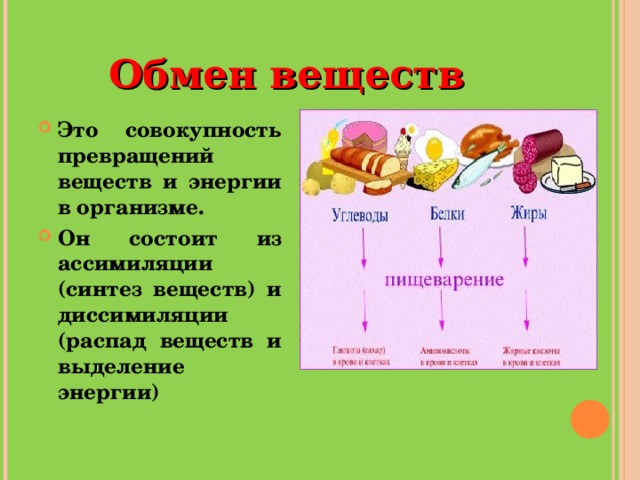 Таблица обмен веществ 8 класс биология