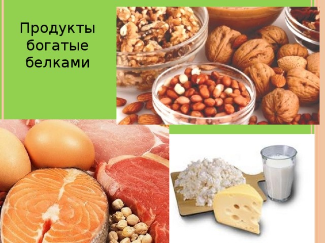 Продукты богатые белками 