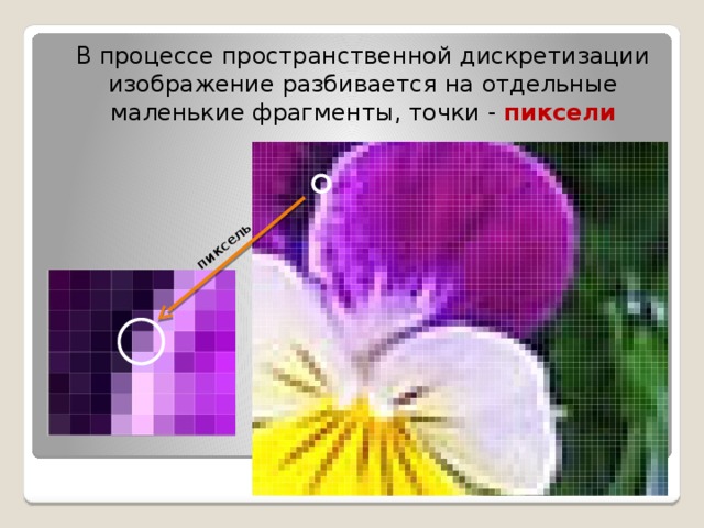 пиксель В процессе пространственной дискретизации изображение разбивается на отдельные маленькие фрагменты, точки - пиксели 