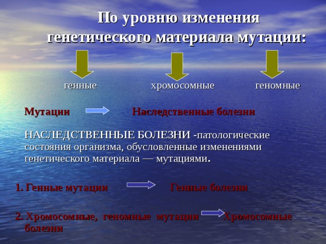 Наследственно измененный организм. Мутации по изменению генетического материала. Мутации по уровню изменения наследственного материала. Мутации изменения генетического материала геномные хромосомные. Мутации по уровню изменения генетического материала.