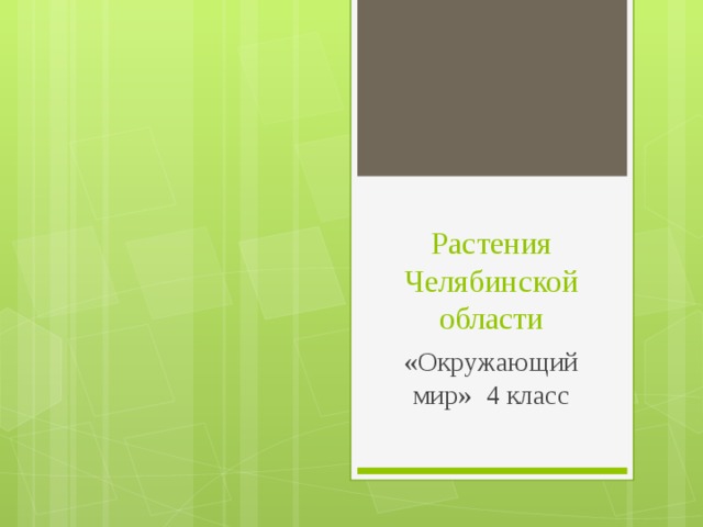 Растения Челябинской области «Окружающий мир» 4 класс 