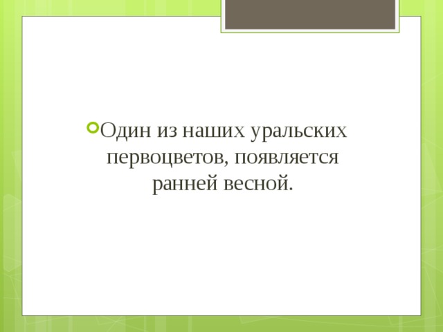 Один из наших уральских первоцветов, появляется ранней весной. 