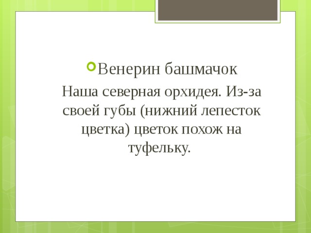 Венерин башмачок Наша северная орхидея. Из-за своей губы (нижний лепесток цветка) цветок похож на туфельку. 
