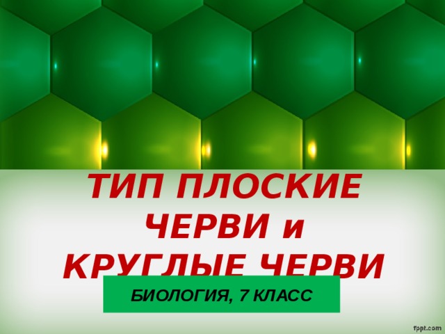 ТИП ПЛОСКИЕ ЧЕРВИ и КРУГЛЫЕ ЧЕРВИ БИОЛОГИЯ, 7 КЛАСС 