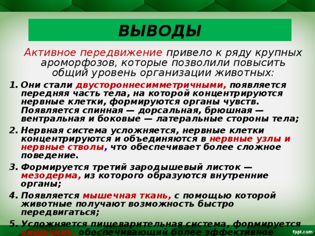ВЫВОДЫ  Активное передвижение привело к ряду крупных ароморфозов, которые позволили повысить общий уровень организации животных: Они стали двустороннесимметричными, появляется передняя часть тела, на которой концентрируются нервные клетки, формируются органы чувств. Появляется спинная — дорсальная, брюшная — вентральная и боковые — латеральные стороны тела; Нервная система усложняется, нервные клетки концентрируются и объединяются в нервные узлы и нервные стволы , что обеспечивает более сложное поведение. Формируется третий зародышевый листок — мезодерма, из которого образуются внутренние органы; Появляется мышечная ткань, с помощью которой животные получают возможность быстро передвигаться; Усложняется пищеварительная система, формируется кишечник, обеспечивающий более эффективное пищеварение. Образуется выделительная система, состоящая из специализированных клеток — протонефридиев;  