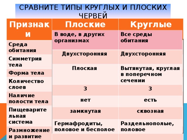 Сравнительная таблица червей