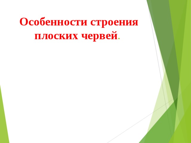 Особенности строения плоских червей . 