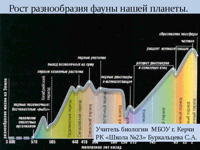 Рост разнообразия фауны нашей планеты. Учитель биологии МБОУ г. Керчи РК «Школа №23» Буркальцева С.А. 