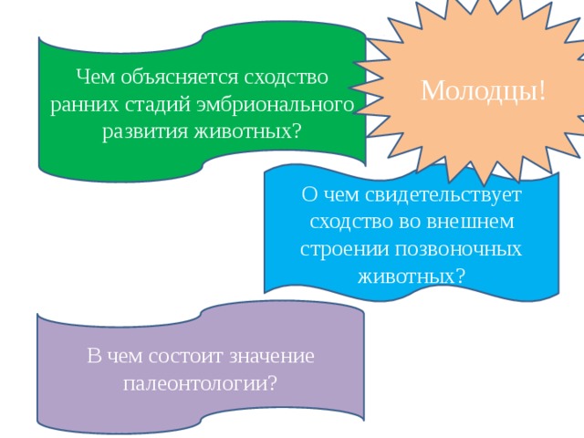 Молодцы! Чем объясняется сходство ранних стадий эмбрионального развития животных? Всё запомнили? О чем свидетельствует сходство во внешнем строении позвоночных животных? В чем состоит значение палеонтологии? 