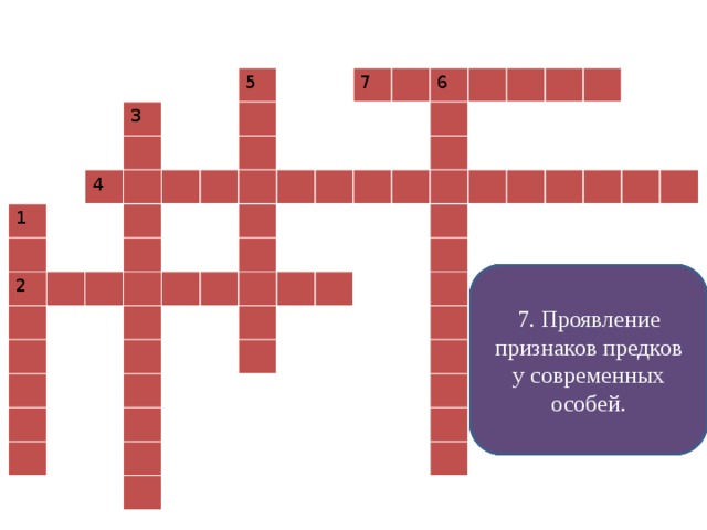 Признак предков в организме. Проявление признаков предков у современных особей.. Доказательства эволюции кроссворд. Кроссворд по биологии по теме доказательства Эволюция животных. Кроссворд на тему доказательства эволюции животного мира на земле.