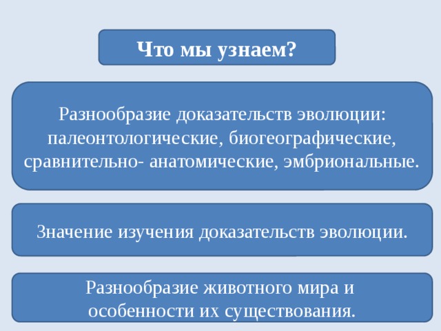 Что мы узнаем? Разнообразие доказательств эволюции: палеонтологические, биогеографические, сравнительно- анатомические, эмбриональные. Значение изучения доказательств эволюции. Разнообразие животного мира и особенности их существования. 