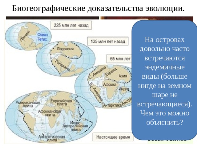 Биогеографическая картина мира