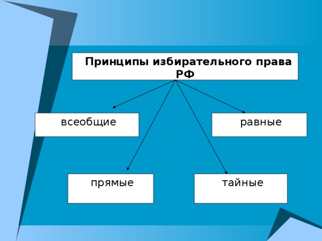 Схема избирательного права