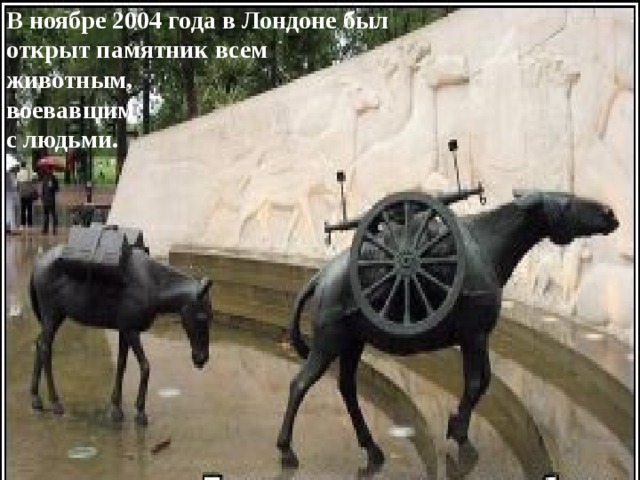 В ноябре 2004 года в Лондоне был открыт памятник всем животным, воевавшим с людьми.  