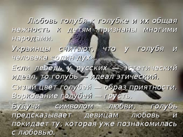 Любовь голубя к голубке и их общая нежность к детям признаны многими народами.   Украинцы считают, что у голубя и человека «один дух».   Если лебедь у русских — эстетический идеал, то голубь — идеал этический.   Сизый цвет голубей — образ приятности. Воркование голубей — грусть.   Будучи символом любви, голубь предсказывает девицам любовь и покидает ту, которая уже познакомилась с любовью. 