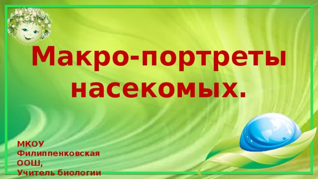 Макро-портреты насекомых.  МКОУ Филиппенковская ООШ, Учитель биологии Чалый Н.С.  2017 г. 