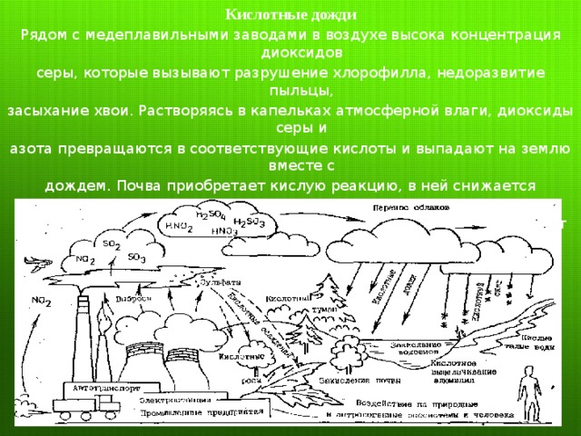 Осадки рядом иваново