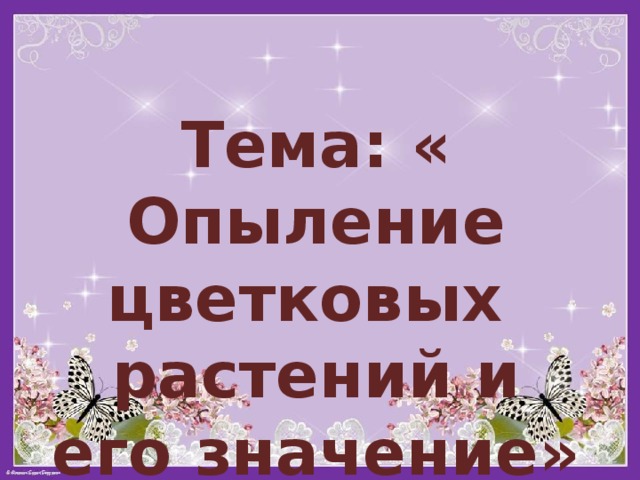 Тема: « Опыление цветковых растений и его значение» 