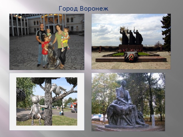 Город Воронеж