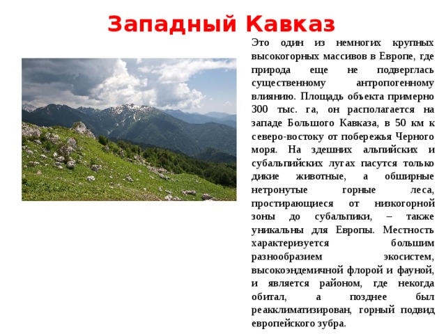 Западный Кавказ Это один из немногих крупных высокогорных массивов в Европе, где природа еще не подверглась существенному антропогенному влиянию. Площадь объекта примерно 300 тыс. га, он располагается на западе Большого Кавказа, в 50 км к северо-востоку от побережья Черного моря. На здешних альпийских и субальпийских лугах пасутся только дикие животные, а обширные нетронутые горные леса, простирающиеся от низкогорной зоны до субальпики, – также уникальны для Европы. Местность характеризуется большим разнообразием экосистем, высокоэндемичной флорой и фауной, и является районом, где некогда обитал, а позднее был реакклиматизирован, горный подвид европейского зубра. 