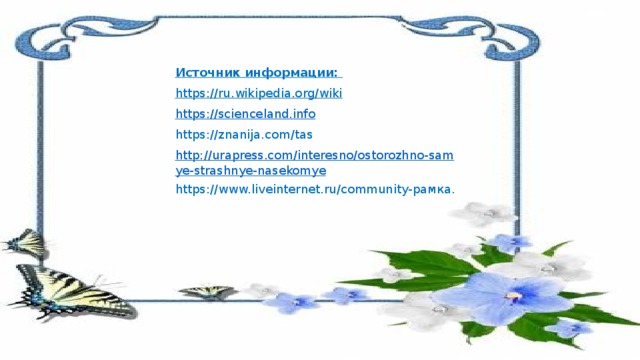 Источник информации: https://ru.wikipedia.org/wiki https://scienceland.info https://znanija.com/tas http://urapress.com/interesno/ostorozhno-samye-strashnye-nasekomye https://www.liveinternet.ru/community-рамка. 