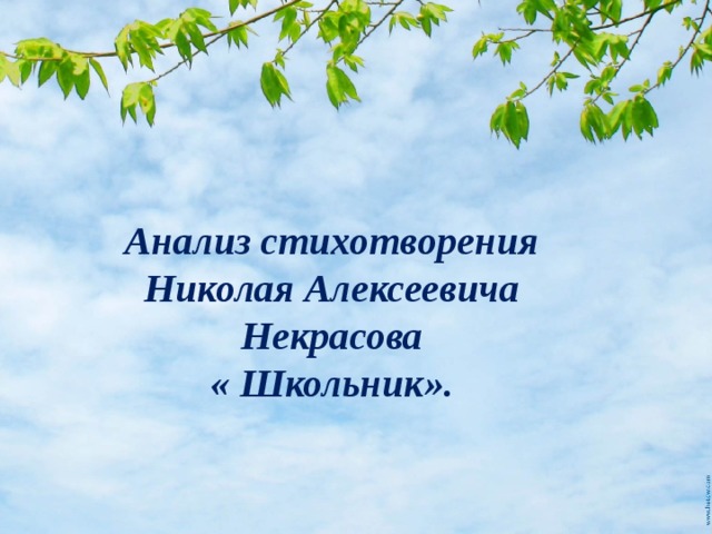 Презентация Сиренида. Сиренида проект по литературе.