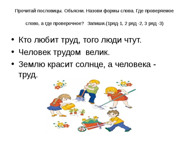 Прочитай пословицы. Объясни. Назови формы слова. Где проверяемое слово, а где проверочное? Запиши.(1ряд-1, 2 ряд -2, 3 ряд -3) 