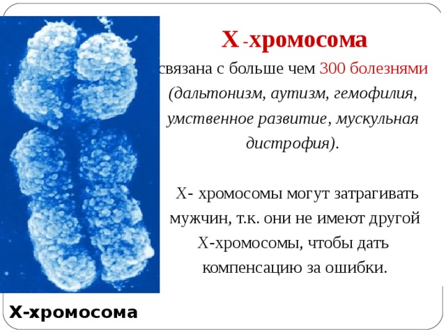 Половые хромосомы  Х - хромосома  связана с больше чем 300 болезнями  (дальтонизм, аутизм, гемофилия, умственное развитие, мускульная дистрофия).   Х- хромосомы могут затрагивать  мужчин, т.к. они не имеют другой Х-хромосомы, чтобы дать компенсацию за ошибки. Х-хромосома  