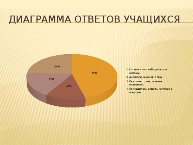 Диаграмма ответов на вопросы