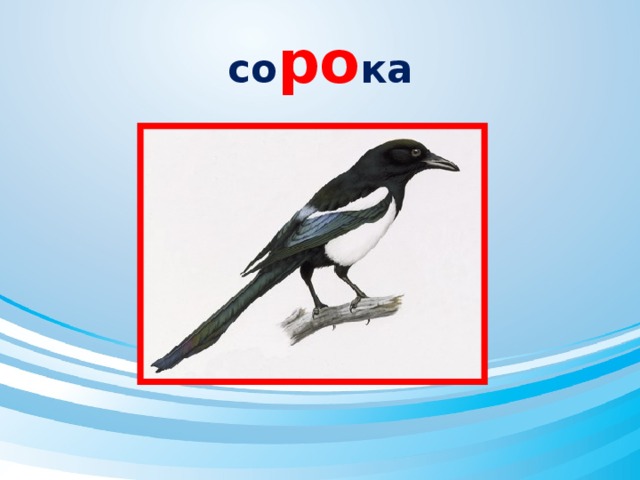 со ро ка 