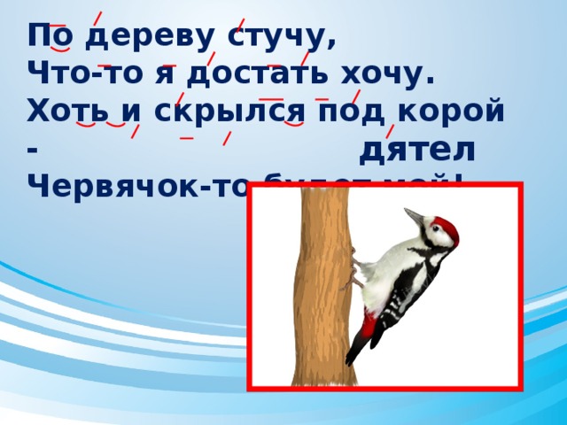 По дереву стучу,  Что-то я достать хочу.  Хоть и скрылся под корой -  Червячок-то будет мой!   дятел 