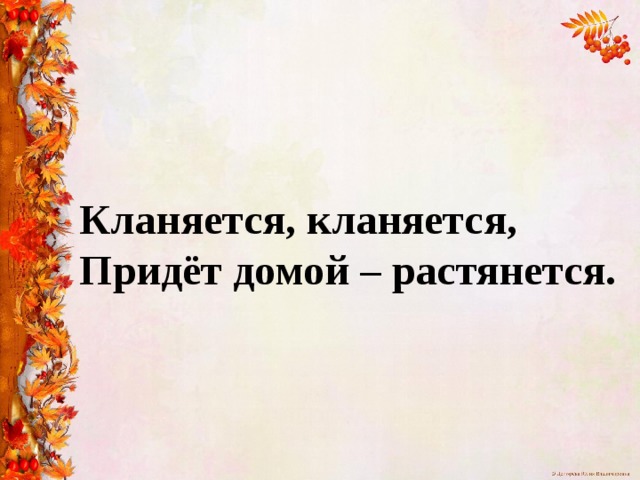 Кланяется, кланяется,  Придёт домой – растянется. 