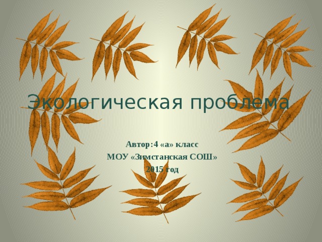 Экологическая проблема Автор:4 «а» класс МОУ «Зимстанская СОШ» 2015 год 