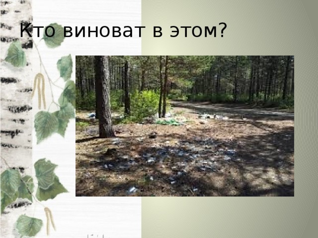 Кто виноват в этом? 