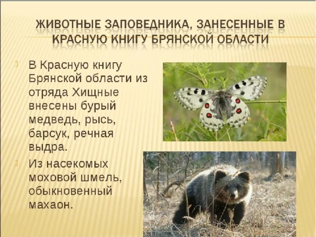 Презентация 8_класс_открытый_урок_по_Брянской_области
