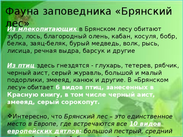 Охрана природы брянской области проект по окм