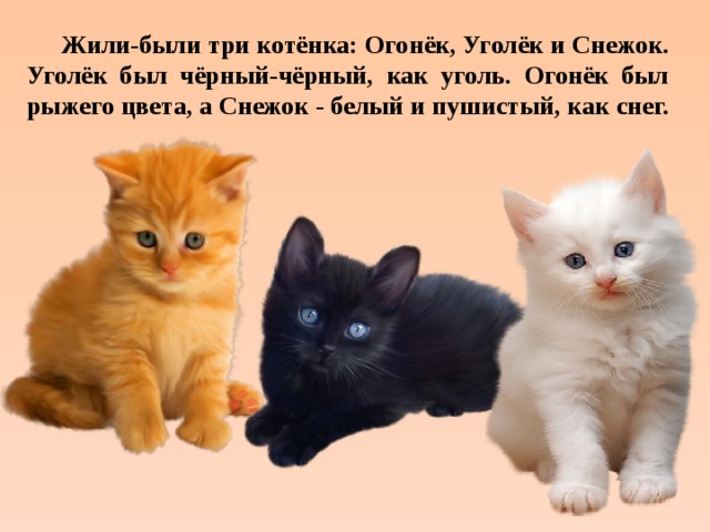 У маши живут 5 котят. Котята разных цветов. Котята черный белый рыжий. Три котенка. Три котенка белый черный рыжий.