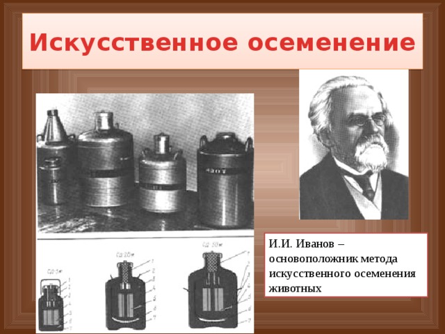 Искусственное осеменение И.И. Иванов –основоположник метода искусственного осеменения животных 
