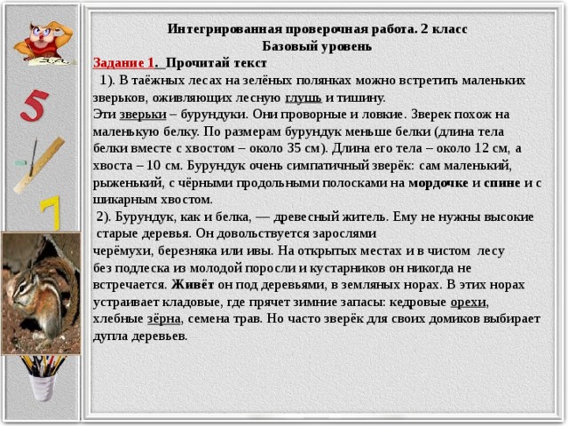 Интегрированная проверочная работа. 2 класс Базовый уровень Задание 1 . Прочитай текст  1). В таёжных лесах на зелёных полянках можно встретить маленьких зверьков, оживляющих лесную глушь и тишину. Эти зверьки – бурундуки. Они проворные и ловкие. Зверек похож на маленькую белку. По размерам бурундук меньше белки (длина тела белки вместе с хвостом – около 35 см). Длина его тела – около 12 см, а хвоста – 10 см. Бурундук очень симпатичный зверёк: сам маленький, рыженький, с чёрными продольными полосками на мордочке и спине и с шикарным хвостом.  2). Бурундук, как и белка, — древесный житель. Ему не нужны высокие старые деревья. Он довольствуется зарослями черёмухи, березняка или ивы. На открытых местах и в чистом лесу без подлеска из молодой поросли и кустарников он никогда не встречается. Живёт он под деревьями, в земляных норах. В этих норах устраивает кладовые, где прячет зимние запасы: кедровые орехи , хлебные зёрна , семена трав. Но часто зверёк для своих домиков выбирает дупла деревьев.