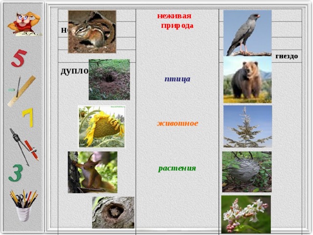 неживая природ а нора птица   дупло животное  гнездо   растения