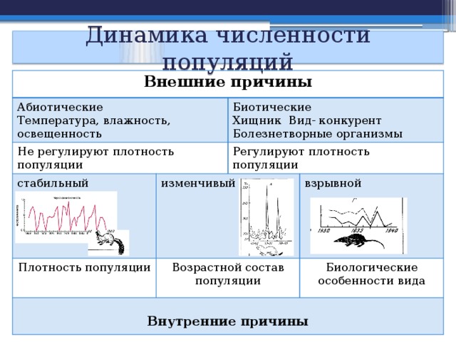 Динамика численности популяций Внешние причины Абиотические Температура, влажность, освещенность Не регулируют плотность популяции стабильный Биотические Плотность популяции изменчивый Регулируют плотность популяции Хищник Вид- конкурент Болезнетворные организмы Возрастной состав популяции взрывной Внутренние причины Биологические особенности вида 