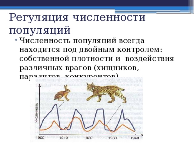 Как изменится численность мышей и коз. Схема регуляции численности популяции. Механизмы регуляции численности популяции. Регуляция численности популяции это в биологии. Колебания численности популяции.