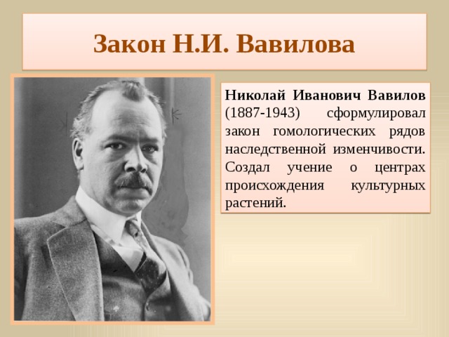 Закон Н.И. Вавилова Николай Иванович Вавилов (1887-1943) сформулировал закон гомологических рядов наследственной изменчивости. Создал учение о центрах происхождения культурных растений. 