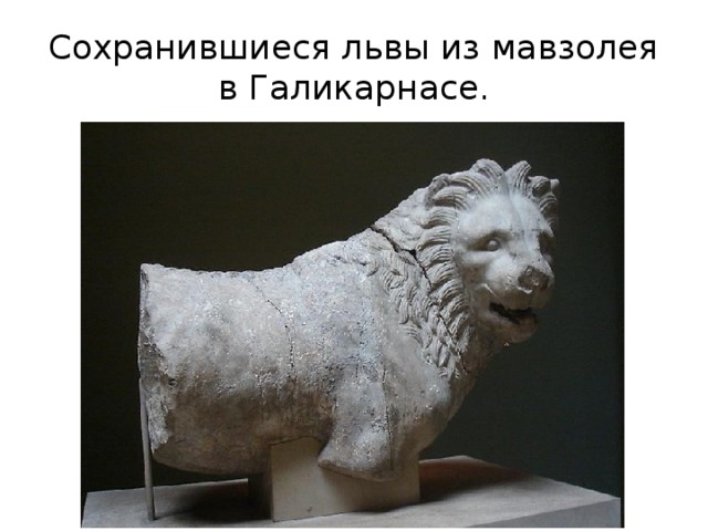 Сохранившиеся львы из мавзолея в Галикарнасе. 