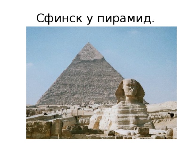 Сфинск у пирамид. 