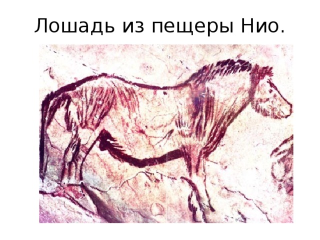 Лошадь из пещеры Нио. 