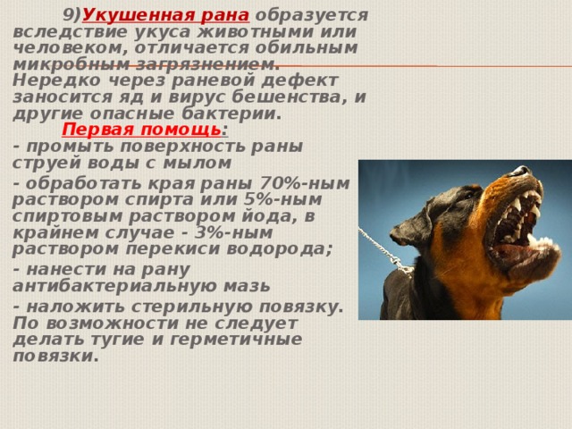  9) Укушенная рана  образуется вследствие укуса животными или человеком, отличается обильным микробным загрязнением. Нередко через раневой дефект заносится яд и вирус бешенства, и другие опасные бактерии.    Первая помощь :    - промыть поверхность раны струей воды с мылом - обработать края раны 70%-ным раствором спирта или 5%-ным спиртовым раствором йода, в крайнем случае - 3%-ным раствором перекиси водорода; - нанести на рану антибактериальную мазь - наложить стерильную повязку. По возможности не следует делать тугие и герметичные повязки. 