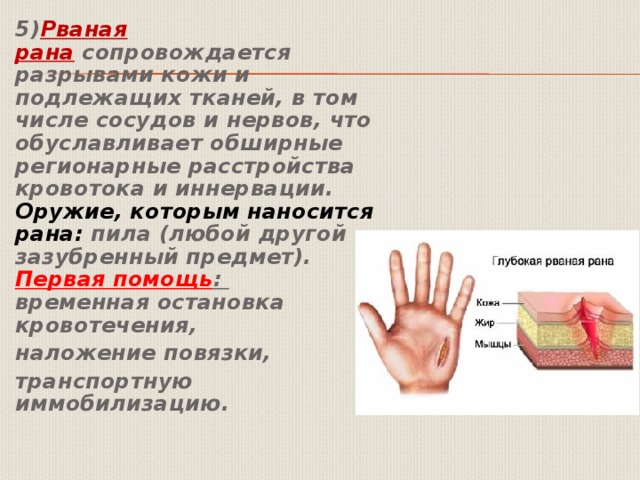 5) Рваная рана  сопровождается разрывами кожи и подлежащих тканей, в том числе сосудов и нервов, что обуславливает обширные регионарные расстройства кровотока и иннервации.   Оружие, которым наносится рана:  пила (любой другой зазубренный предмет).   Первая помощь :   временная остановка кровотечения, наложение повязки, транспортную иммобилизацию. 